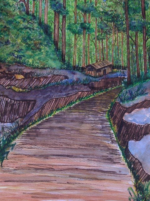 PAISAJE