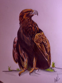 El aguila