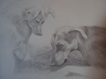 Bruno y Piona