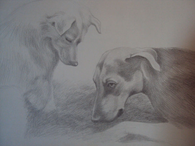 Bruno y Piona
