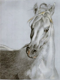 Caballo blanco