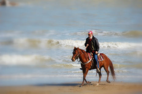 Cavallo