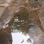 Fotografía thumbnail 1