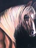 caballo 