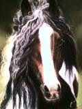 Caballo