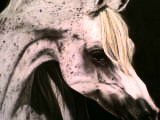caballo
