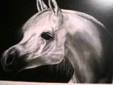 Caballo