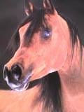 caballo