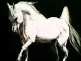 caballo 