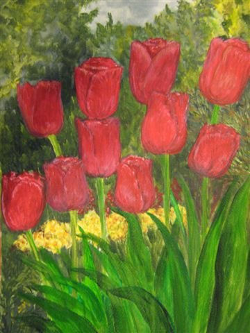 Tulipanes