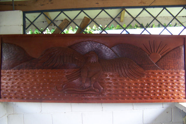 aguila calva