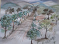 paisaje
