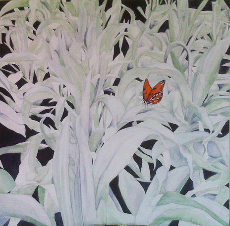 Conejos y mariposa