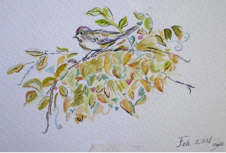 Pajaro