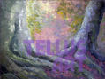 raices
