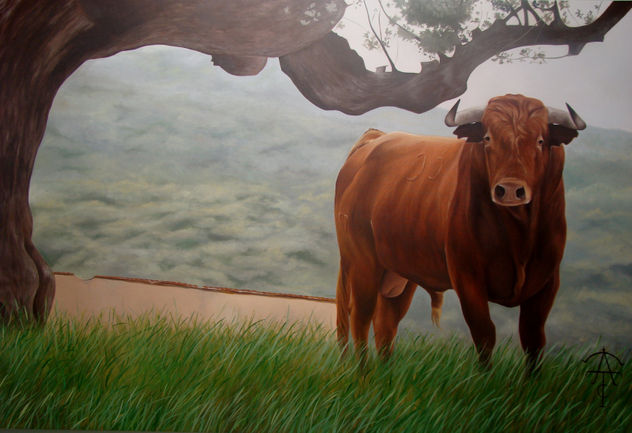 TORO EN EL CAMPO