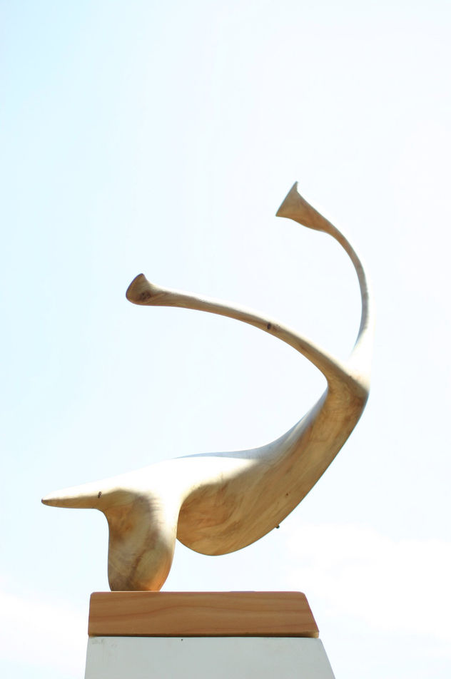 DANZA DEL CISNE