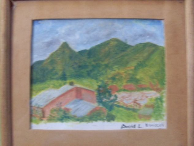 paisaje sabanero 