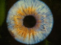 El ojo del mundo