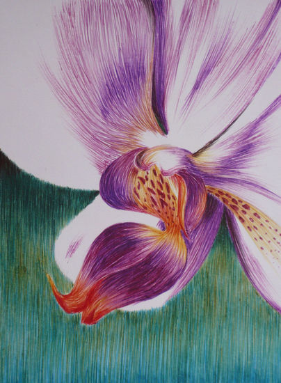 Orquídea Tinta