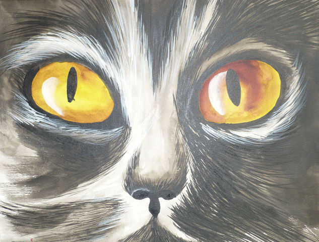 Ojos de gato Tinta