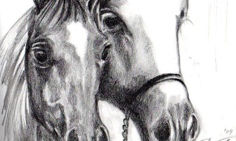 DIBUJO