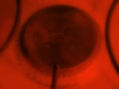 Al rojo vivo