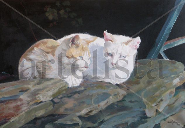 Pizarra con gatos Oil Canvas Animals