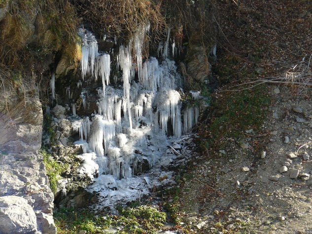 hielo Naturaleza Color (Digital)