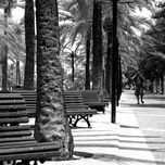 Fotografia B/n thumbnail 2