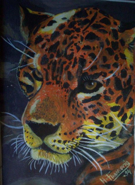 Leopardo