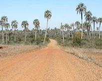 Llegando a El Palmar