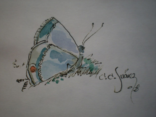 MARIPOSA EN ACUARELA