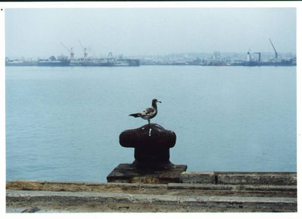 Abandono III
