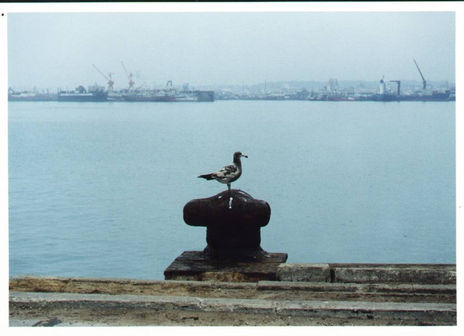 Abandono III