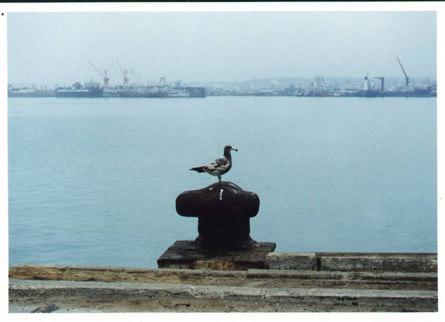 Abandono III