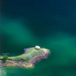 Naturaleza y Paisajes thumbnail 2