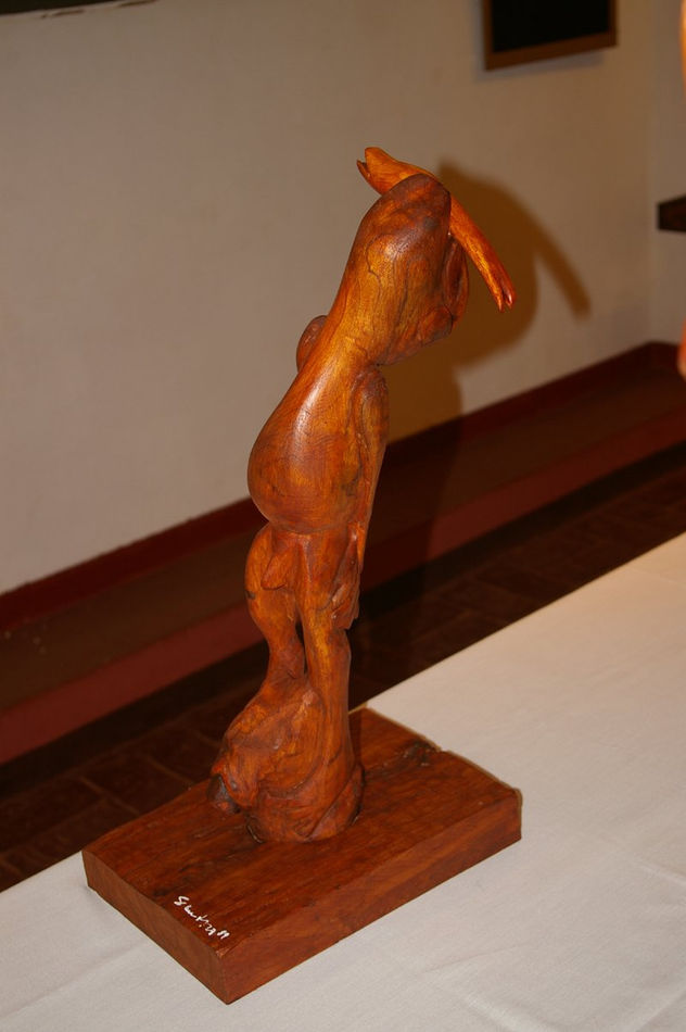 OBRA26