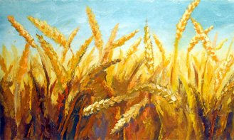 Campo