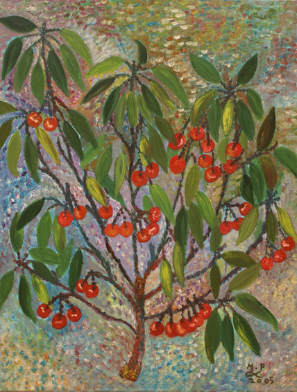 Una rama de cerezas