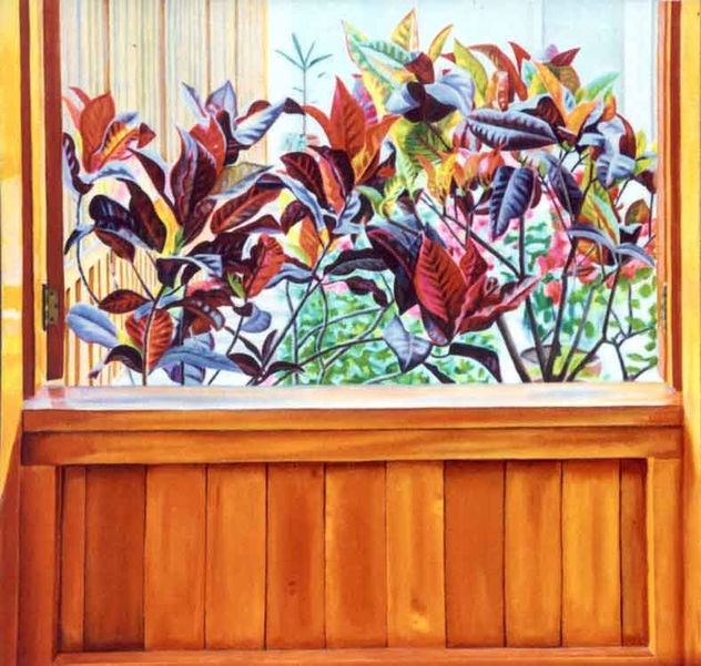 Croton