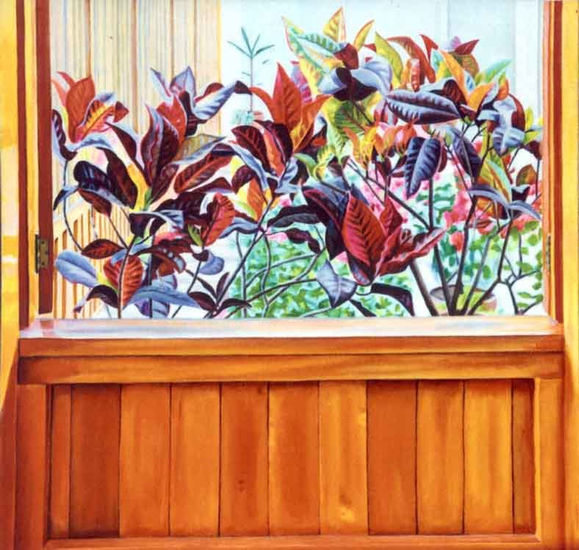 Croton Oil Canvas Others