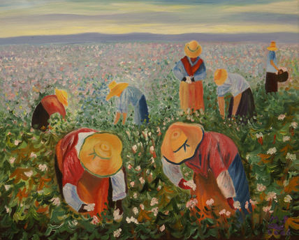 Los algodoneros