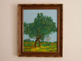 Quercus