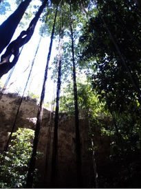 Cenote