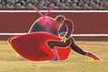Toro B fin (Serie: “De toros y otras capas”)