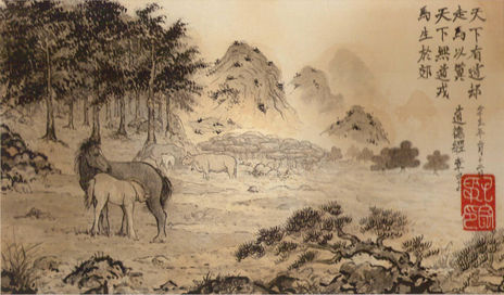 Caballos en la montaña