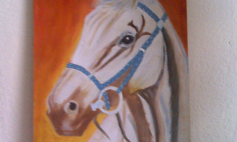 CABALLOS