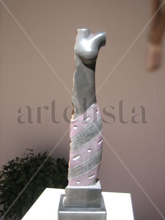medio torso