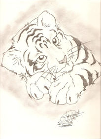 Tigre